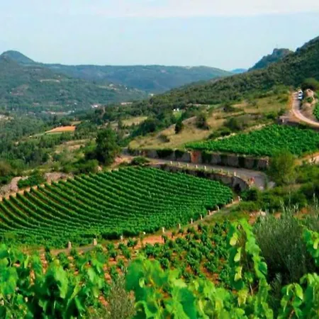 La Baraquette Cevenole * Laroque (Herault)