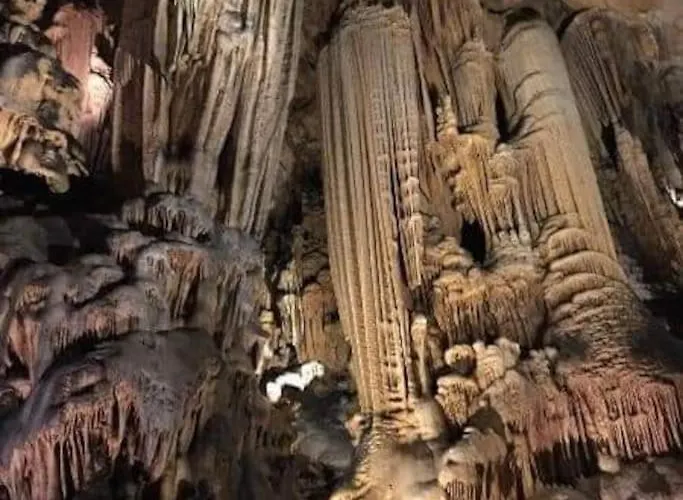 La Baraquette Cevenole Laroque (Herault)